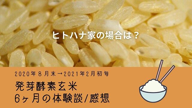 発芽酵素玄米６カ月の体験談/感想